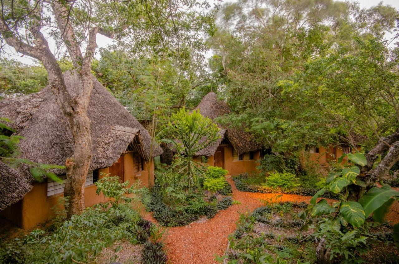 Distant Relatives Ecolodge & Backpackers Кіліфі Екстер'єр фото