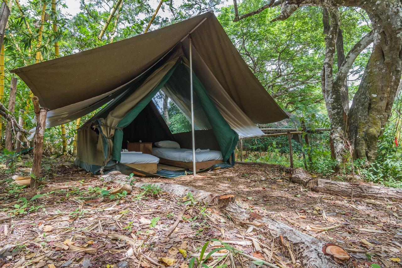 Distant Relatives Ecolodge & Backpackers Кіліфі Екстер'єр фото