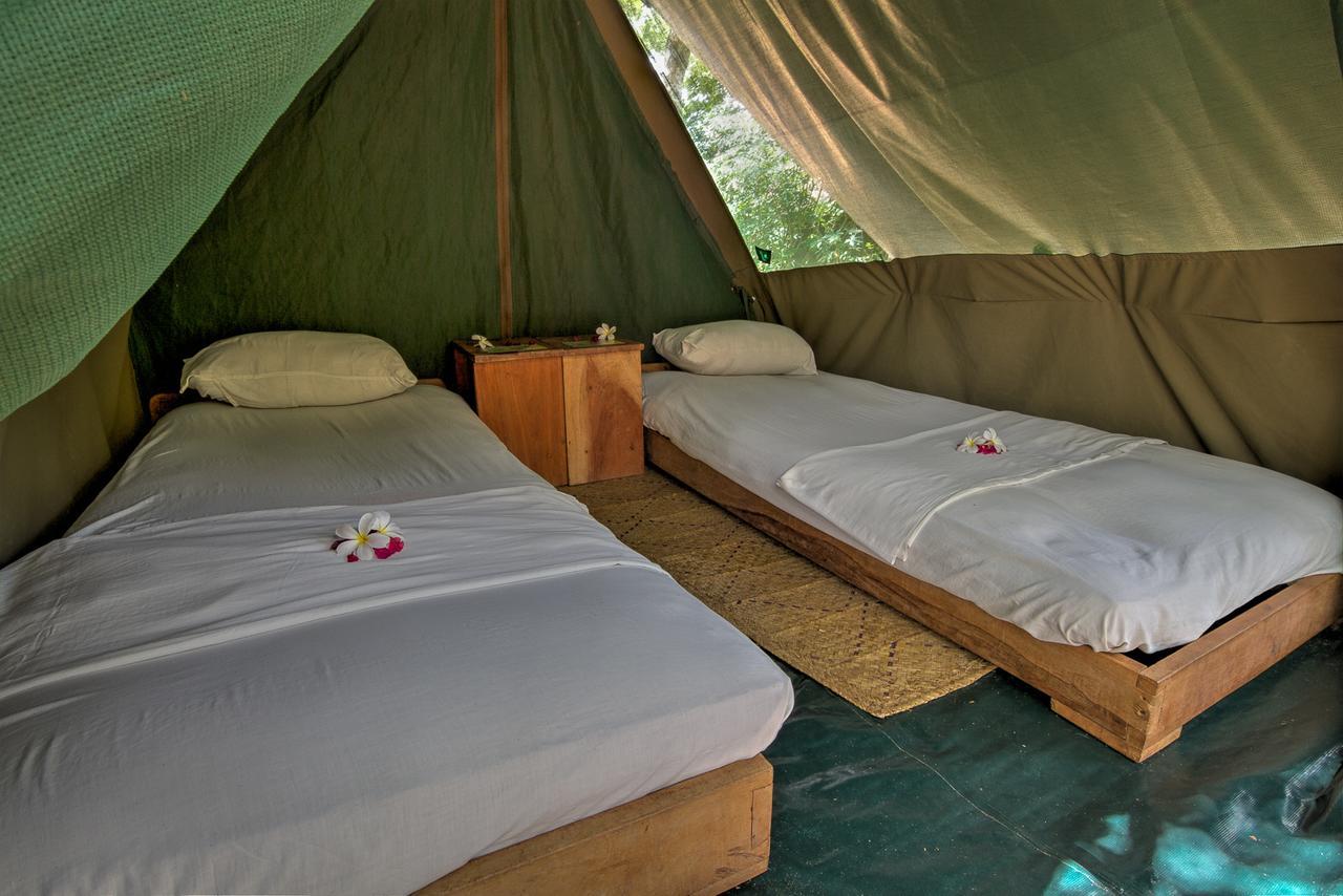 Distant Relatives Ecolodge & Backpackers Кіліфі Екстер'єр фото